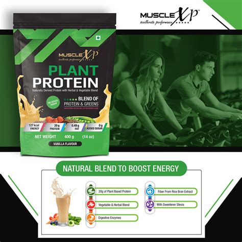 Plant Protein Vanilla Flavour 400gm Pouch – Musclexp