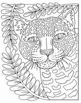 Coloring Animal Adults Animals Pages Adult Colouring Big sketch template