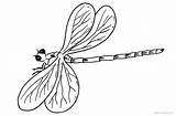 Dragonfly Coloring Line Drawing Pages Printable Kids Color Print Colouring Paintingvalley Adults sketch template