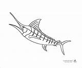 Marlin Coloring Printable Pages Coloringbay sketch template