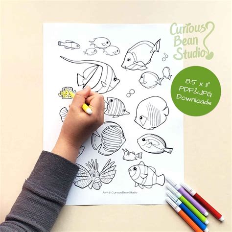 saltwater fish coloring activity pages  jpg etsy