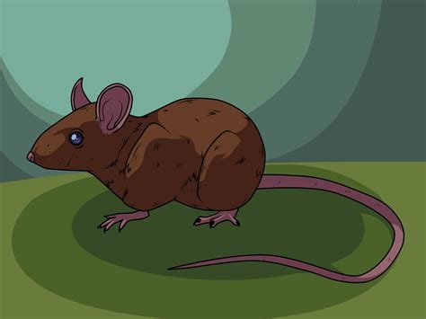 ways  draw  mouse wikihow