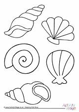 Colouring Shell Coloring Sea Shells Pages Beach Printable Template Kids Summer Seaside Seashell Colour Drawing Mar Crafts Activityvillage Mermaid Da sketch template