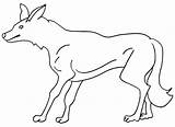 Coyote Kojote Ausmalbilder Malvorlagen Cool2bkids sketch template