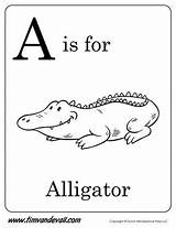 Alligator Letter Coloring Timvandevall Printable Alphabet Template Worksheets Starts Printables Pages Kids Preschool Letters Tracing Book sketch template