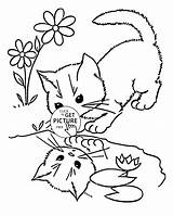 Coloring Pages Cat Animal Kids Little Kittens Wuppsy sketch template
