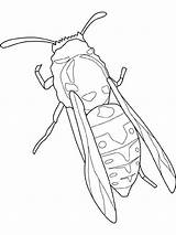 Insekten Insects Kleurplaat Insectes Insecten Kolorowanki Jaune Kleurplaten Owady Robaki Wasp Malvorlage Coloriages Coloringhome Veste Insetti Tinamics Disclaimer Tiere Huey sketch template