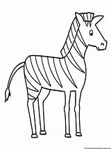 Zebra Coloring Drawing Pages Sketch Easy Outline Line Simple Animals Kids Animal Gambar Printable Stripes Mewarnai Without Draw Drawings Color sketch template