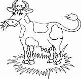 Vache Coloriage Vaches Krowy Kolorowanki Krowa Coloriages Kolorowanka Vaca Pré Druku Colorier Drukuj Humoristique Megghy sketch template