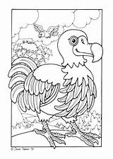 Dodo Coloring Para Colorear Edupics Dibujos Pages Bird Dibujo Visitar Sheets Choose Board Large sketch template