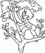Apple Climb Pommier Saturn Printable Manzanas Kidsplaycolor Acacia Coloriages Getcolorings Pngitem Mazano Fanciful sketch template