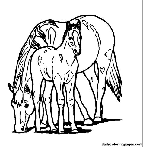 horse coloring pages  girls coloring home
