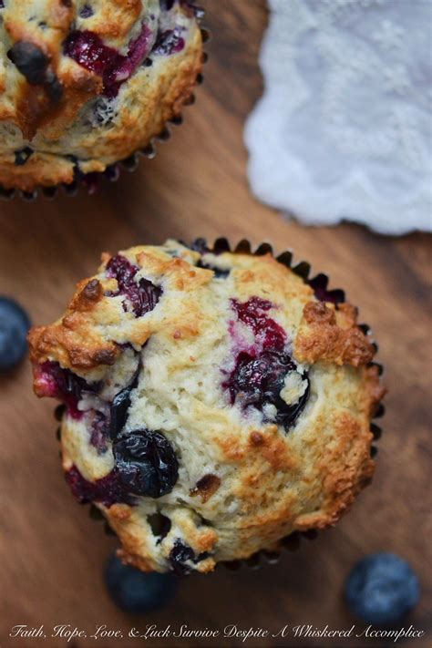 chobani simply  blueberry dinner muffins recipe  sugar yogurt
