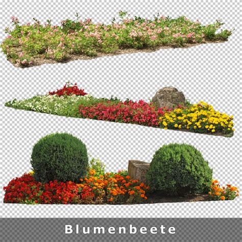 cutout plants  freigestellte pflanzen zur architektur visualisierung