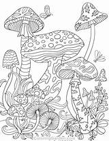 Coloring Pages Mushrooms Printable Adult Mushroom Colouring Coloringgarden Fairy Sheets Magic Mandala Pdf Trippy Color Psychedelic Print Drawings Garden Template sketch template