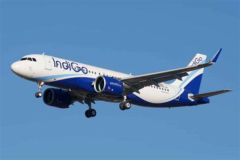 indigo offering domestic flight  starting  rs