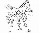 Coloring Pages Horse Baby Horses Open Appaloosa Mother sketch template