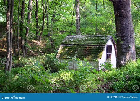 spring house royalty  stock photo image