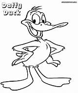 Duck Daffy Coloring Pages sketch template