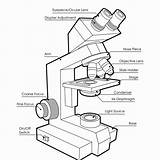 Microscope Getdrawings sketch template