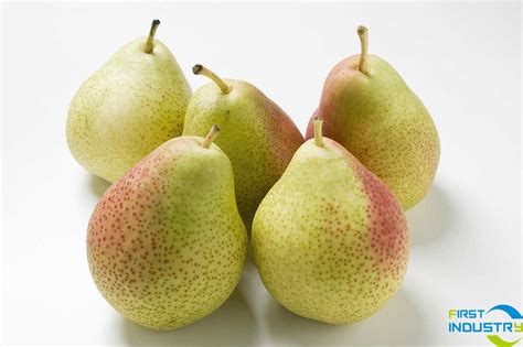eu fresh pear exports  china increased significantly