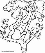 Climbing Tree Coloring 276px 56kb sketch template