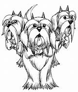 Shih Tzu Headed Hell Coloring Pages Cute Tdq Deviantart Template sketch template