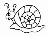 Coloring Insect Pages Snail Kids sketch template