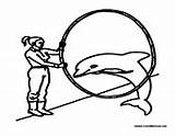 Dolphin Trainer Hoop Coloring Pages Jumping Through sketch template