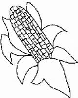 Coloring Corn Husk Sheets Ear Kids Today sketch template