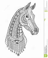 Zentangle Paard Cavalli Arabische Cavallo Arabi Arabo Stilizzato Caballo Animales sketch template