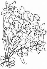 Blumenstrauss Narcise Colorat Flori Mazzo Bouquet Ausmalbild Jonquille Zum Colorear Jonquilles Planse Adulti Malvorlagen Voturi Vizite Printmania sketch template