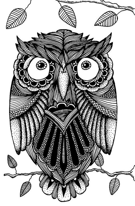 owl illustration owl illustration drawings owl