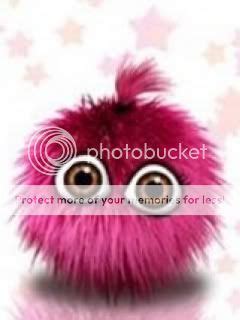 uk bearded collie website view topic pink fluffy