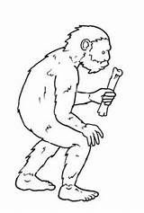 Ominidi Steinzeit Australopiteco Homo Disegno Prehistoria Neandertaler Uomo Preistoria Pintar Ausmalen Colorare Malvorlage Primitivo Primitivos Cris Maestro Steinzeitmenschen Cavernicolas Hombre sketch template