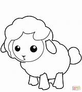 Coloring Lamb Cute Little Pages Printable Sheep Drawing sketch template