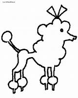 Poodle Coloring Pages Toy Getdrawings Getcolorings sketch template