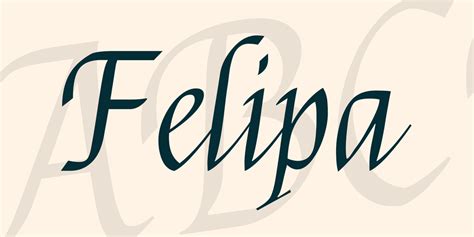 felipa     install   website  photoshop