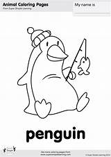 Coloring Penguin Simple Super Supersimple Pages Songs Para Colorear sketch template