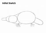 Platypus Point sketch template