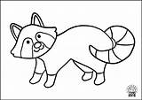 Kids Coloring Animals Pages Navigation Post Racoon sketch template