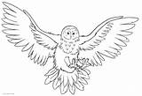 Coloring Owl Barn Getcolorings sketch template