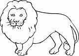 Lion Outline Drawing Coloring Pages Printable Color Clipart Animal Lions Kids Animals Super sketch template