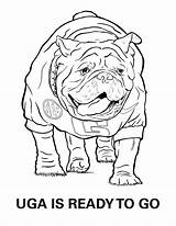 Bulldogs sketch template