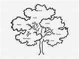 Tree Clip Outline Family Reunion Oak Coloring Trees Transparent Bare Pngkey Nicepng sketch template