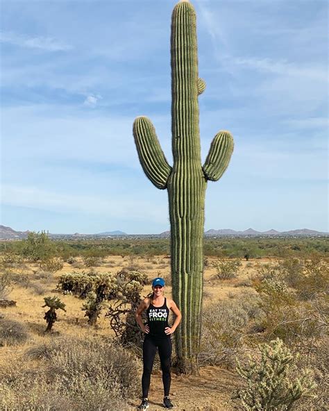 saguaro cactus    state
