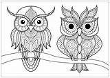 Owls Buhos Colorare Hiboux Disegni Deux Adulti Branche Gufi Colouring Eulen Malbuch Erwachsene Justcolor Búhos Calme Jolis Posés Coloriages Animali sketch template