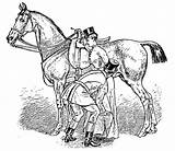 Horsemanship Goodbye sketch template