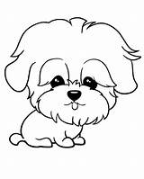 Imprimir Tiernos Perritos Dibujar Bonitos Dibujoypintura Puppy Raza Tiernas Adorables Alguna sketch template