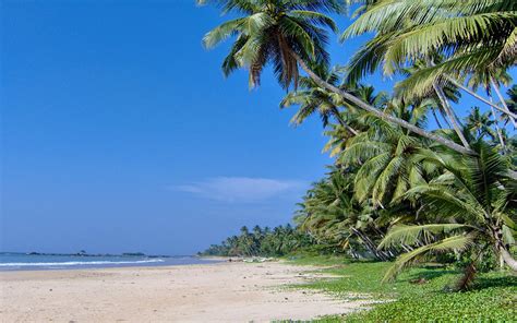 matara beach south sri lanka world beach guide